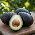 Avocats frais