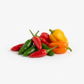 Petits piments oiseau africains très piquants