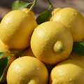 Citrons frais