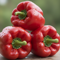 Poivrons rouges frais